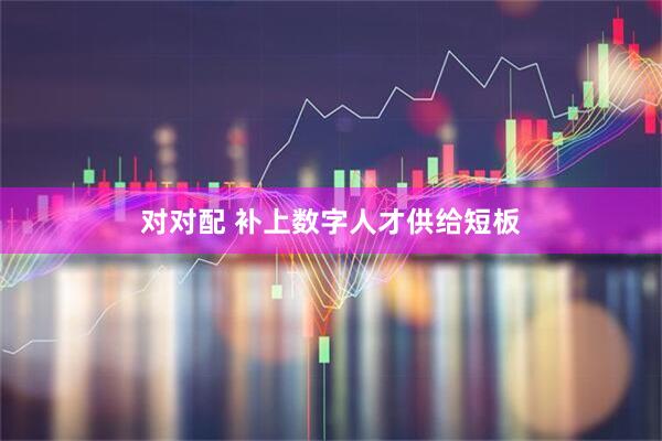对对配 补上数字人才供给短板