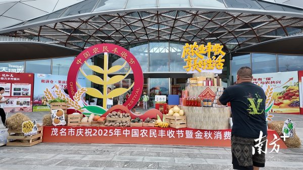 嗨牛股票 茂名“五棵树一条鱼”筑牢根基，金秋盛会彰显农业硬核底气
