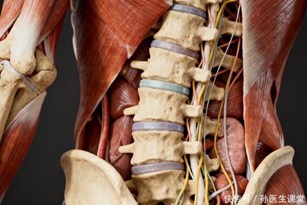 融可赢 腰酸背痛不是小问题！提醒：这3种迹象或是腰椎出事前兆，要重视