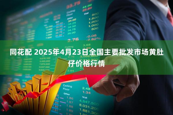 同花配 2025年4月23日全国主要批发市场黄肚仔价格行情